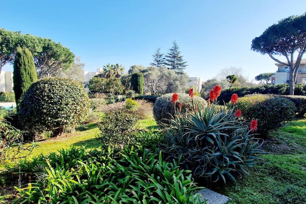 Studio Antibes Avec Piscine Eksteriør billede