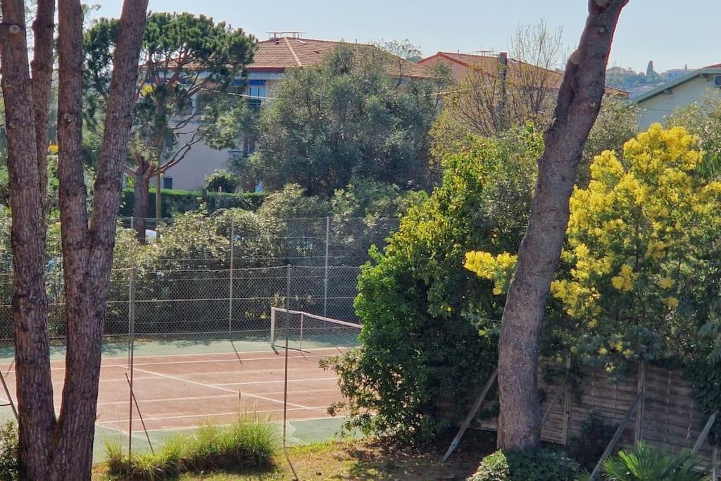 Studio Antibes Avec Piscine Eksteriør billede